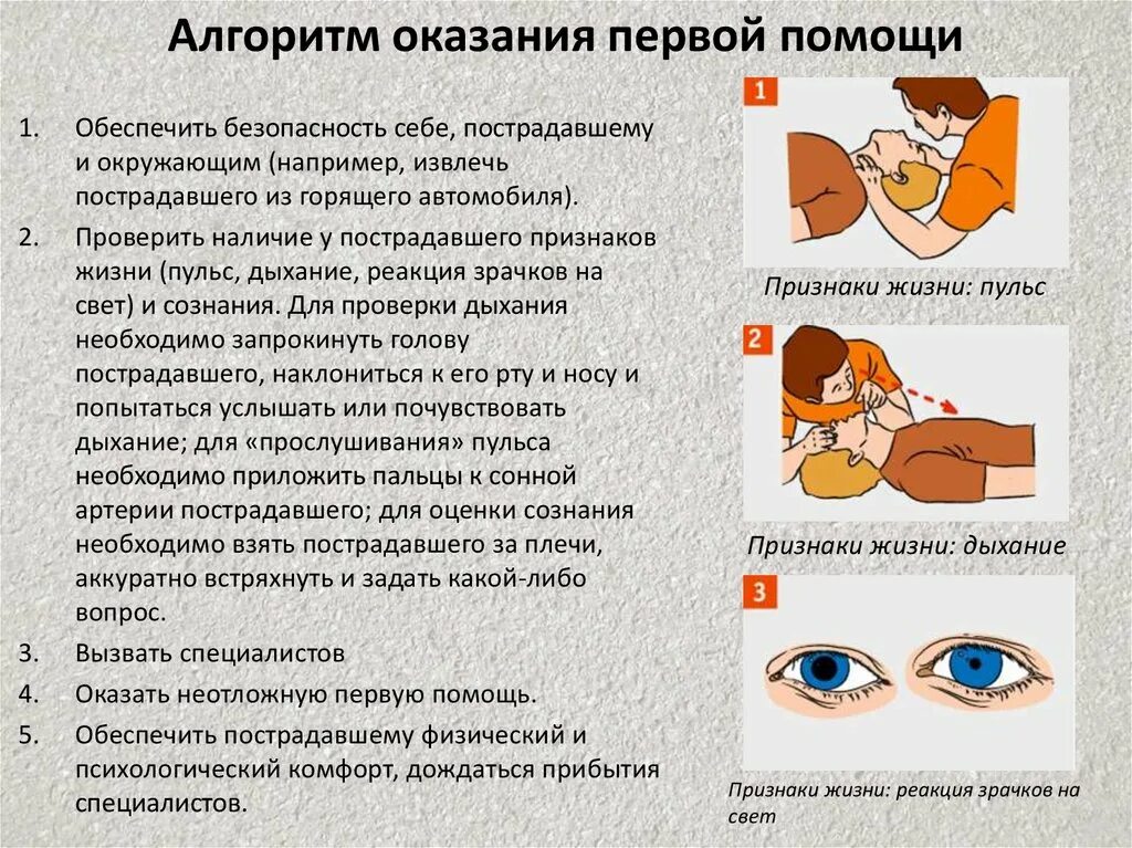 Если у пострадавшего отсутствуют признаки жизни. Оказание 1 помощи пострадавшему без сознания. Алгоритм действий при оказании первой медпомощи пострадавшему. Если у пострадавшего отсутствуют признаки жизни. Сердечно-лёгочная реанимация алгоритм.