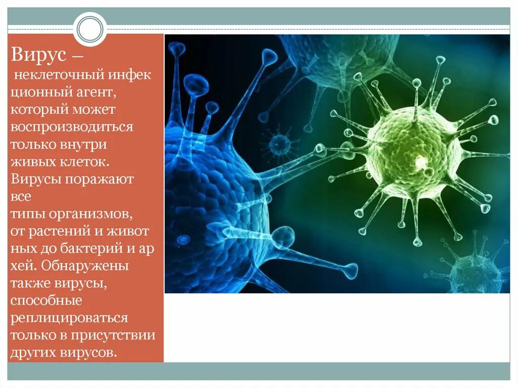 Вирусы способны к самостоятельному обмену. Вирусные инфекции. Вирусные болезни человека. Вирусные и бактериальные заболевания. Вирусы которые поражают вирусы.