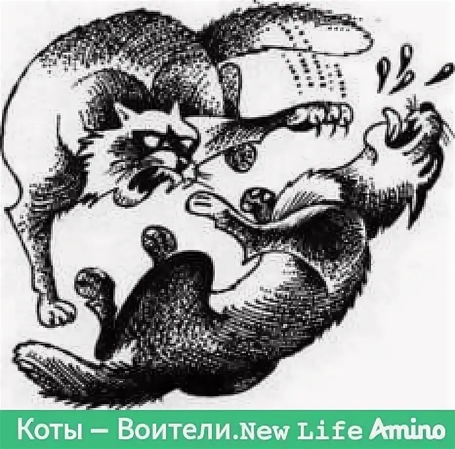 Коты воители боевые приёмы:прочёс живота. Коты воители боевые приёмы всех племён. Коты воители боевые приёмы:прочёс живота. Коты воители боевые приёмы всех племён. Боевые приёмы коты воители.