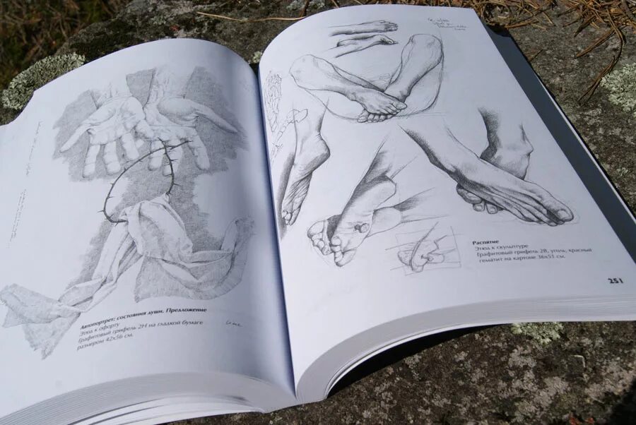 Книги фб2 цикл. Анатомия Джованни Чиварди. Джованни Чиварди рисование. Джованни Чиварди фигура человека. Джованни Чиварди анатомия для художника.
