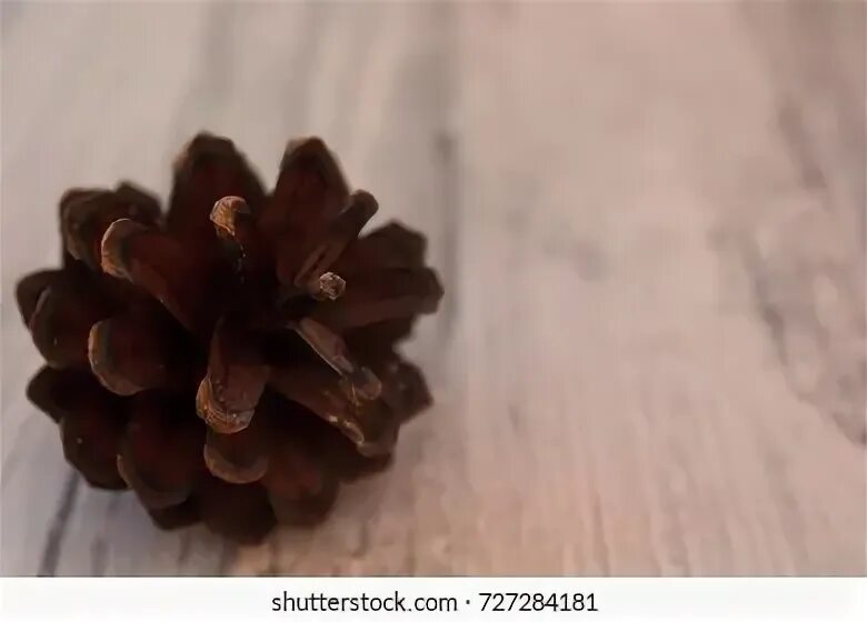 Pine up
