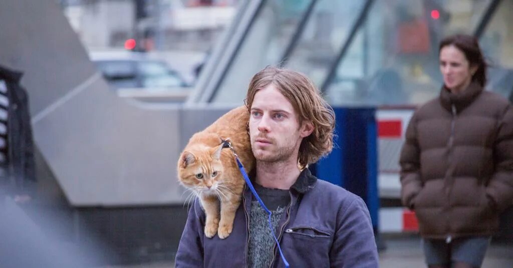 Cats famous for being the longest running