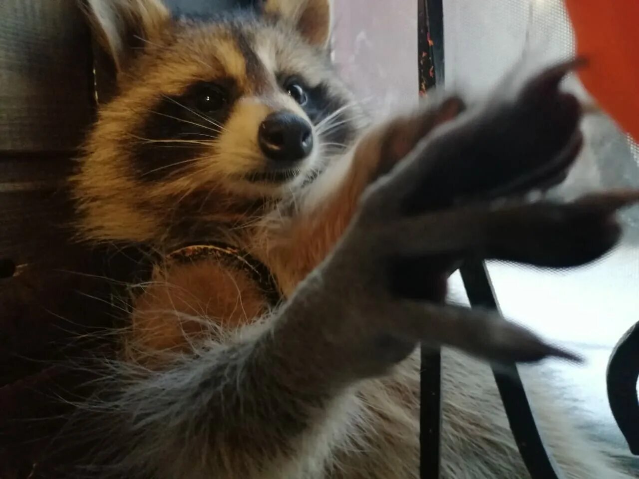 Новосибирск улица галущака 4. Енотокафе ул галущака 4. Енотокафе галущака 4. Енотокафе галущака 4. Енотокафе уфа.