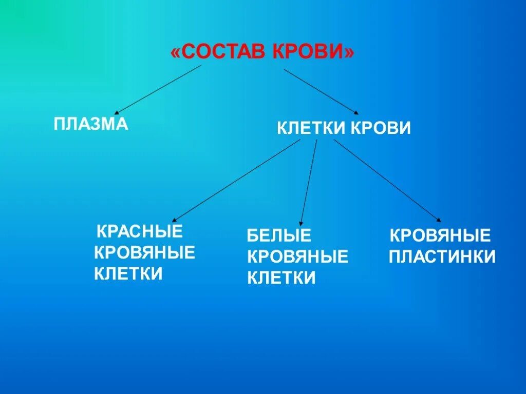 Кровь окружающий мир. Состав крови 4 класс. Состав крови 4 класс окружающий. Состав крови 4 класс окружающий мир. Состав крови 3 класс окружающий мир.