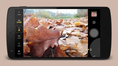 Manual camera