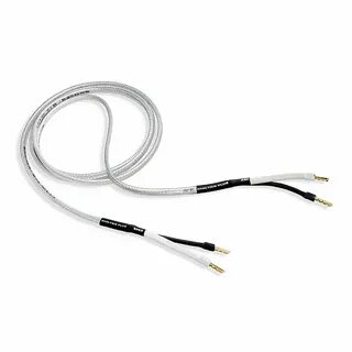 Oval plus