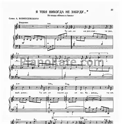 Песня я никогда не видел