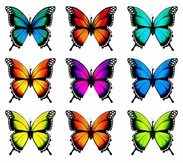 Collection de papillons à colorier Papillon à colorier, Tatouage de papillon, Ta