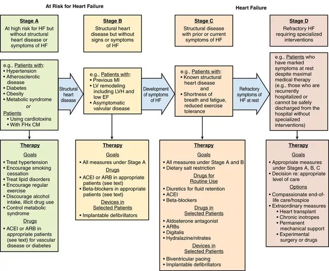 Heart failure guidelines 2023. Vericiguat in patients with heart failure and reduced ejection fraction. Heart failure guidelines 2023. Heart failure stages. Heart failure guidelines.