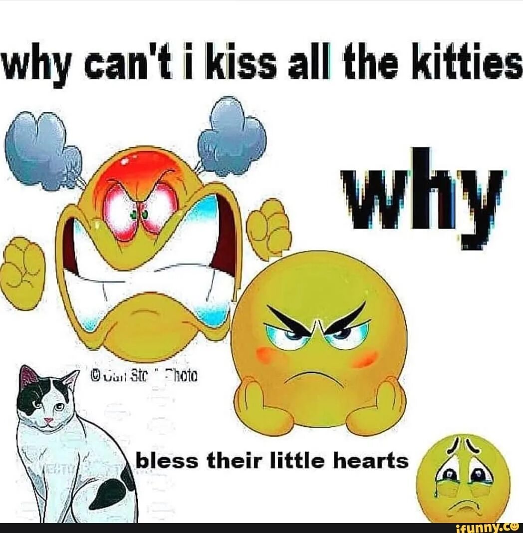 Why i can t. Why cant i kiss. why cant i kiss all the kitties. bless their little hearts 1983. all kiss.