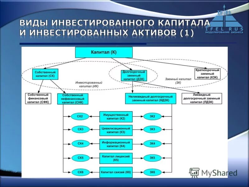 Развитие информационного капитала. Развитие информационного капитала