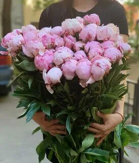Букет пионов ростов на дону