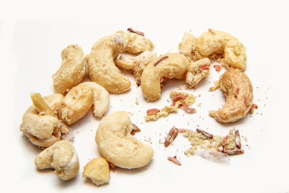 Личинки в кешью. 100 грамм орехов кешью. Личинки в кешью. Орехи кешью 50 гр. Белые маленькие личинки в орехах кешью.