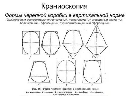 Вертикальная норма