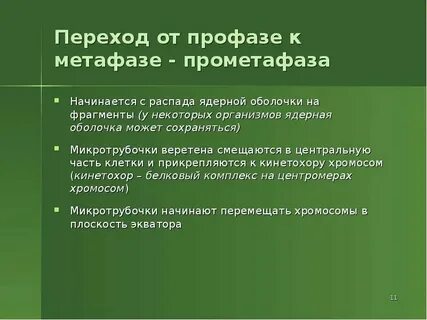 Метод таксономии