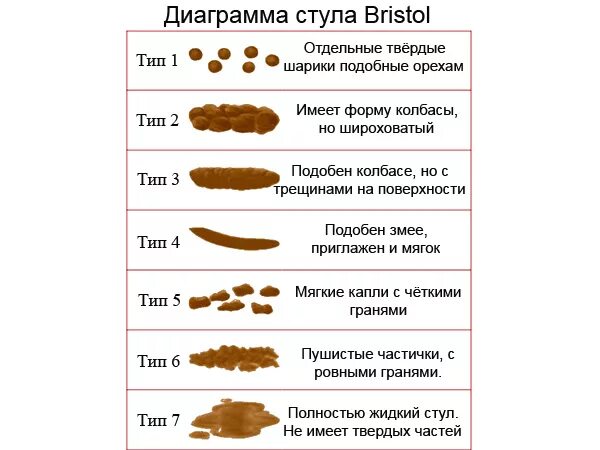 Сдать какашки. Нормальный кал. Нормальный стул у взрослого.