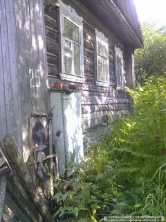 Погода ореховно мошенской