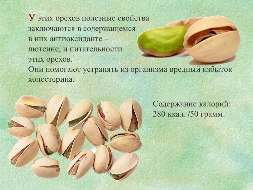 Чем полезны орехи для женщин. Чем полезны орехи для женщин. Чем полезен грецкий орех. Орехи с описанием. Какие орехи полезнее.
