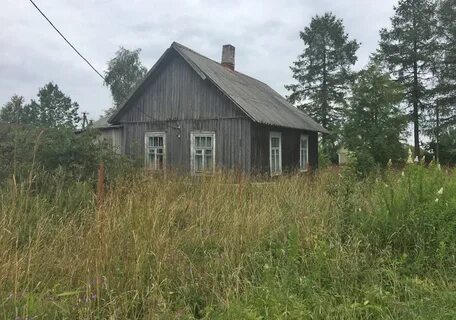 Погода в ленобласти выборгский