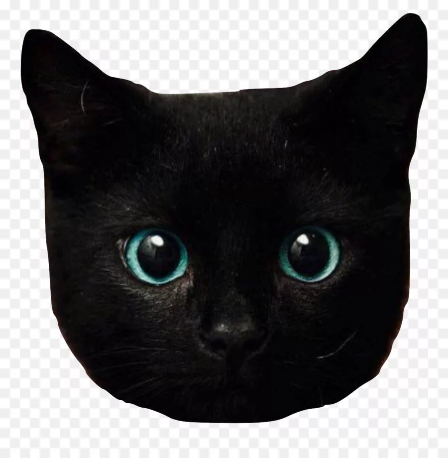 Как выглядит голова кошки ® Colección de Gifs ®: IMÁGENES DE GATOS Cat face, Art images, Cat tattoo
