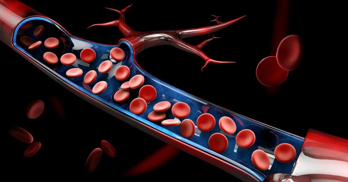 Митохондрия эритроциты. Red blood cells: structure and functions in normal and pathological conditions, hemoglobin, its structure and function. Спектрин эритроцитов. Плазма крови под микроскопом. Роль гемоглобина.