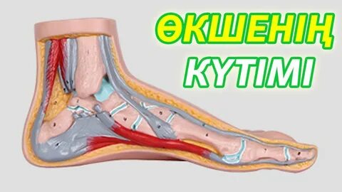 Өкшесін жалады