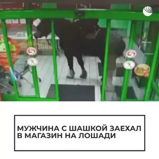 Смотритель объявил что лошади