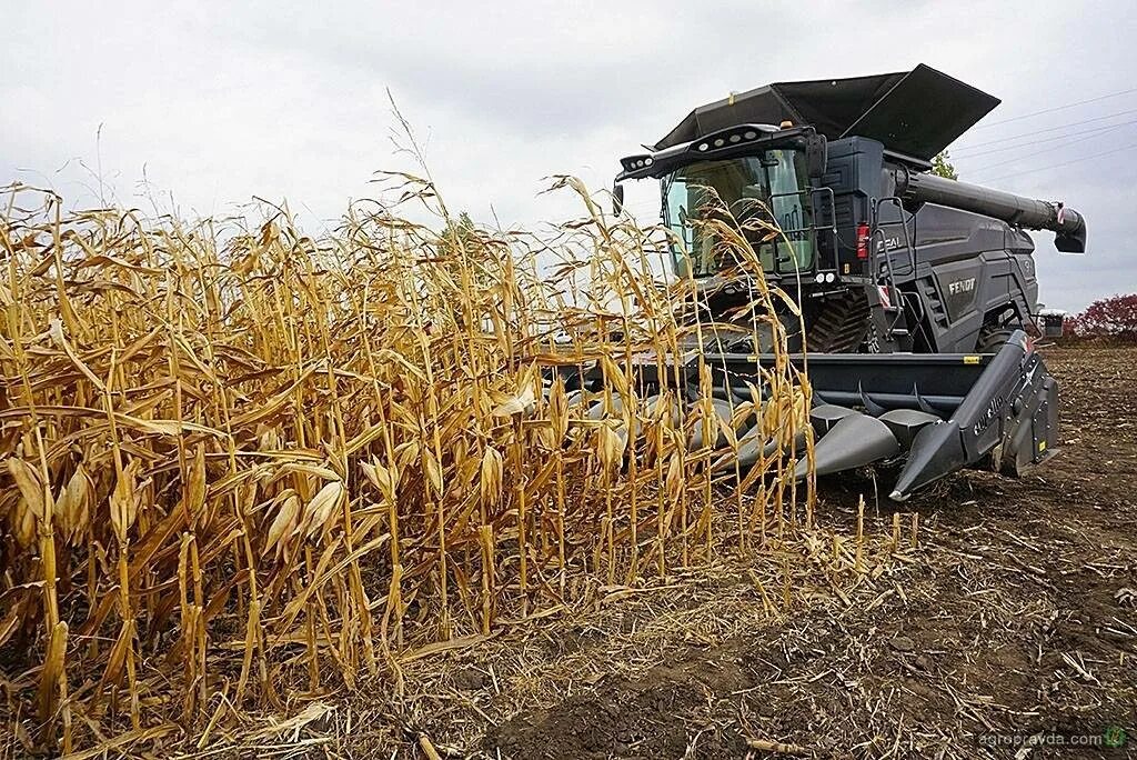 Кукуруза сбор урожая. Комбайн Fendt 6052e. Комбайн Фендт 9490. Комбайн для уборки кукурузы на силос. Комбайн кукурузный Byron 8420.