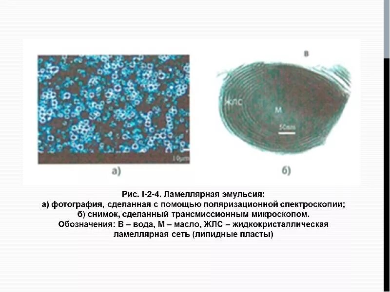 Ламеллярная эмульсия купить. Ламеллярная эмульсия. Структура ламеллярной эмульсии. Ламеллярная эмульсия схема. Ламеллярная структура.