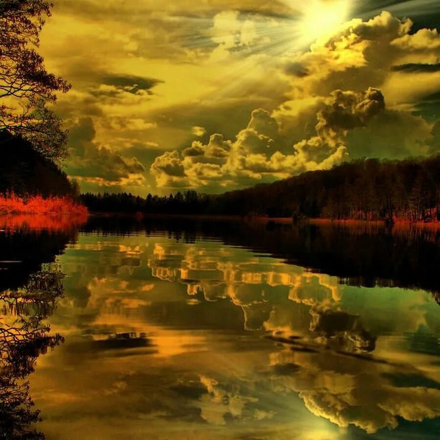Природа вечер. Отражение в воде. Красивые открытки с природой. Тишина природы.