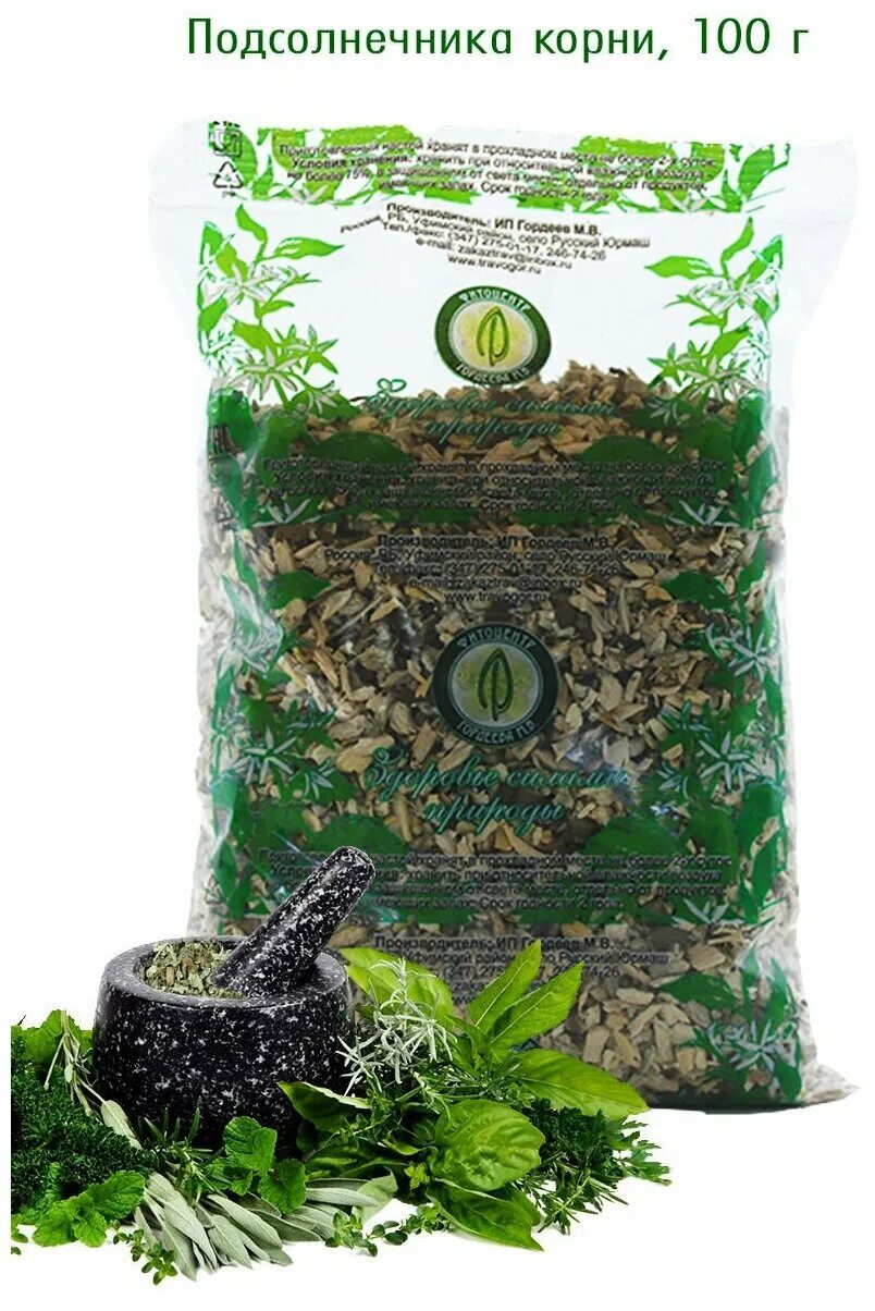 Корень подсолнечника аптека. Аптека подсолнух. Подсолнечник корень. Аптека подсолнух. Аптека подсолнух.