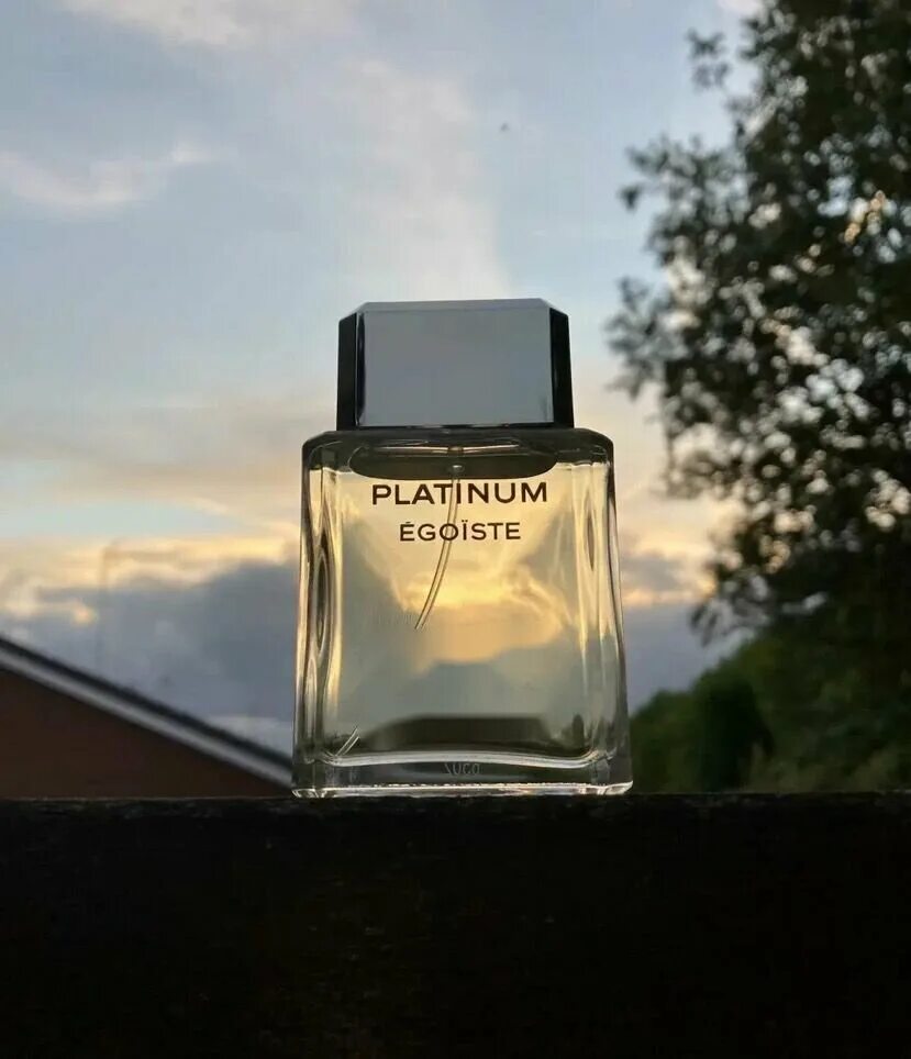 Шанель эгоист платинум оригинал. Chanel Egoist men Platinum 100мл. Chanel Egoiste Platinum 100ml. Мужской одеколон Chanel Egoiste Platinum. Духи Chanel Egoiste Platinum эгоист платинум (100 мл).