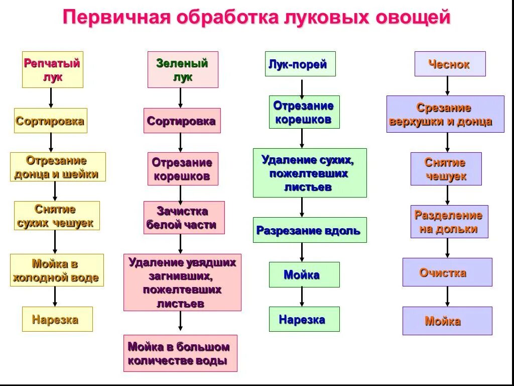 Обработка капустных овощей. Технологическая схема обработки чеснока.