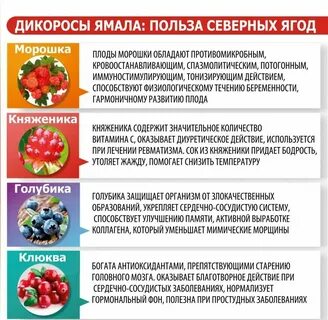 Значение ягод в жизни человека