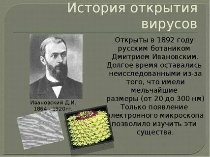 История вирусов биология