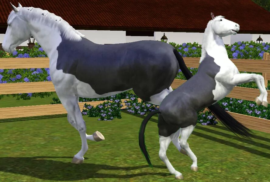 Horse sim. SIMS 3 Horse. Симс 3 лошади. SIMS 3 лошади. SIMS 3 Horse stables.