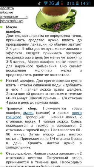 Можно ли пить шалфей как. Шалфей для прекращения лактации как принимать. как пить шалфей чтобы забеременеть. как пить шалфей для беременности. как правильно пить шалфей.