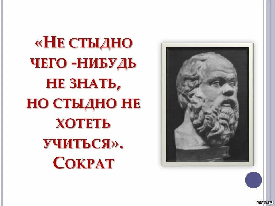 Стыдно знать 1. Не стыдно не знать стыдно не учиться рисунок. стыдно не знать стыдно. не знать не стыдно стыдно не хотеть знать. личности которых стыдно не знать.