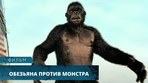 Обезьяна против