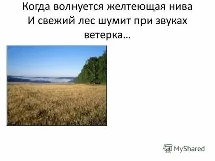 Когда цветет желтеющая нива