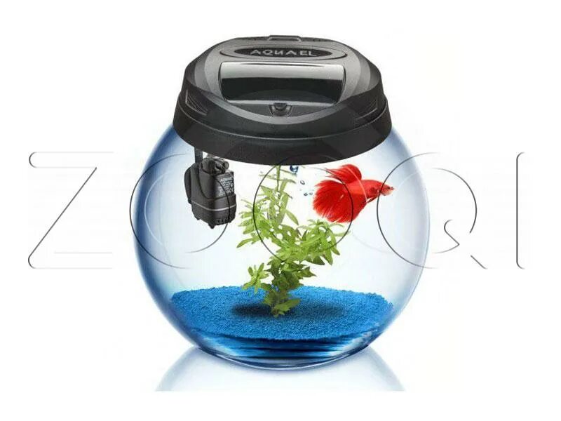 Aquael аквариум круглый 50 литров. Aquael 7 аквариум. Крышка для круглого аквариума. Аквариум круглый 5 литров. Фильтр для аквариума для петушка