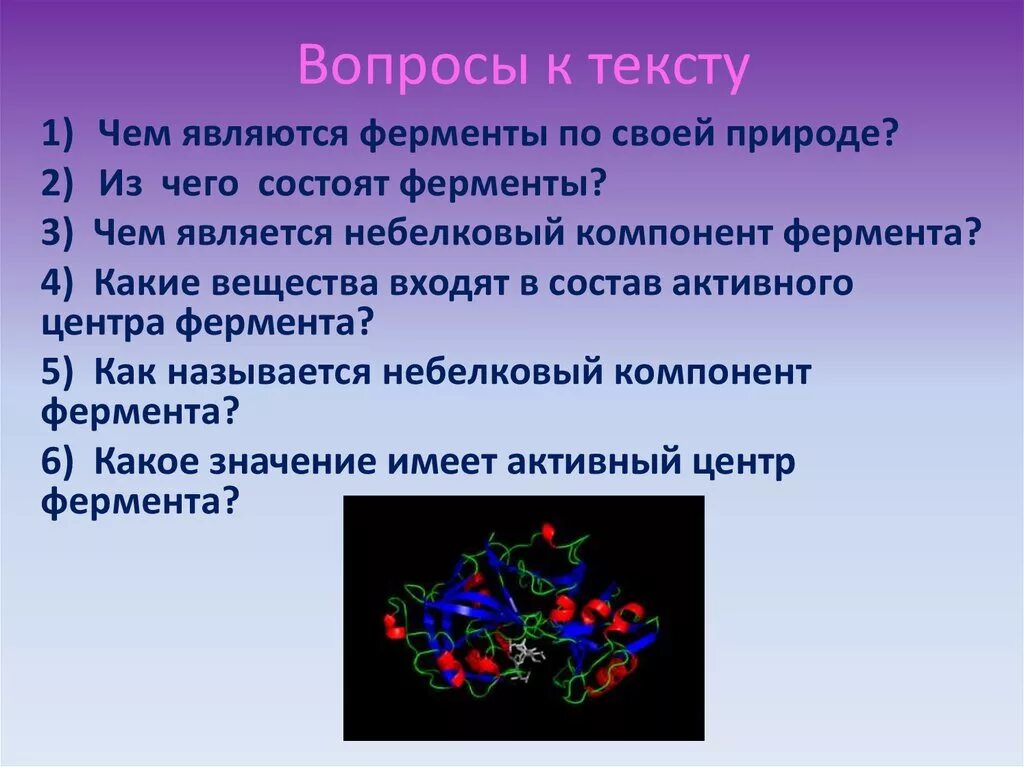 Три функции ферментов. Ферменты по своей природе являются. Ферменты по своей природе это. Химическая природа и строение ферментов. Вопросы про ферменты.