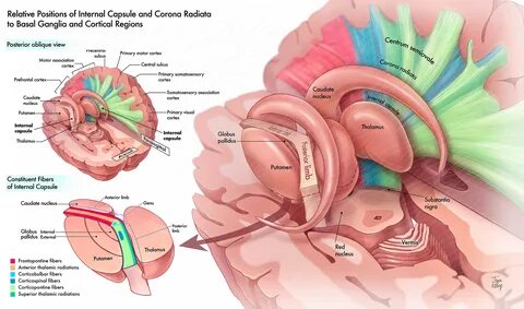 Internal d