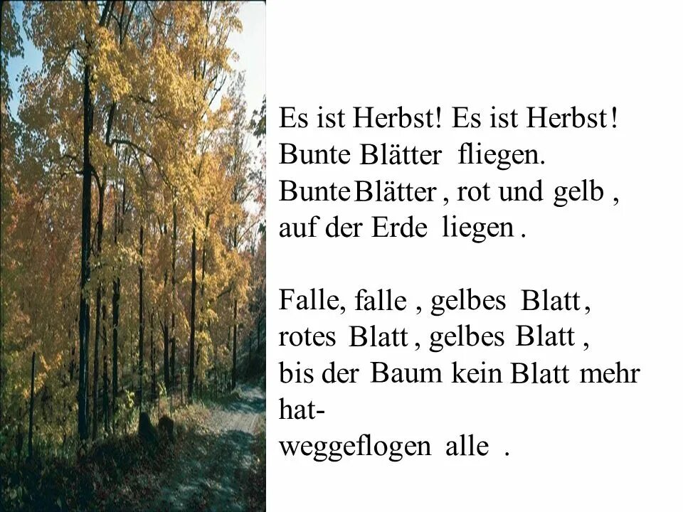Es ist schon. Стих про осень на немецком языке. Стих на немецком про осень. Стихи на немецком языке. Небольшой стих на немецком языке.
