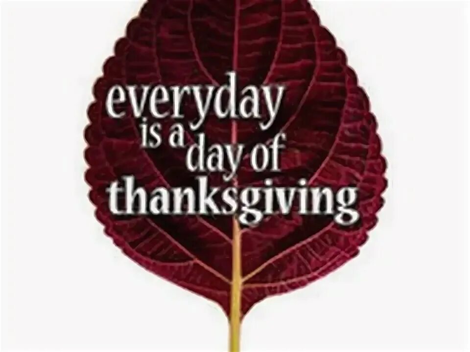 Give every day the