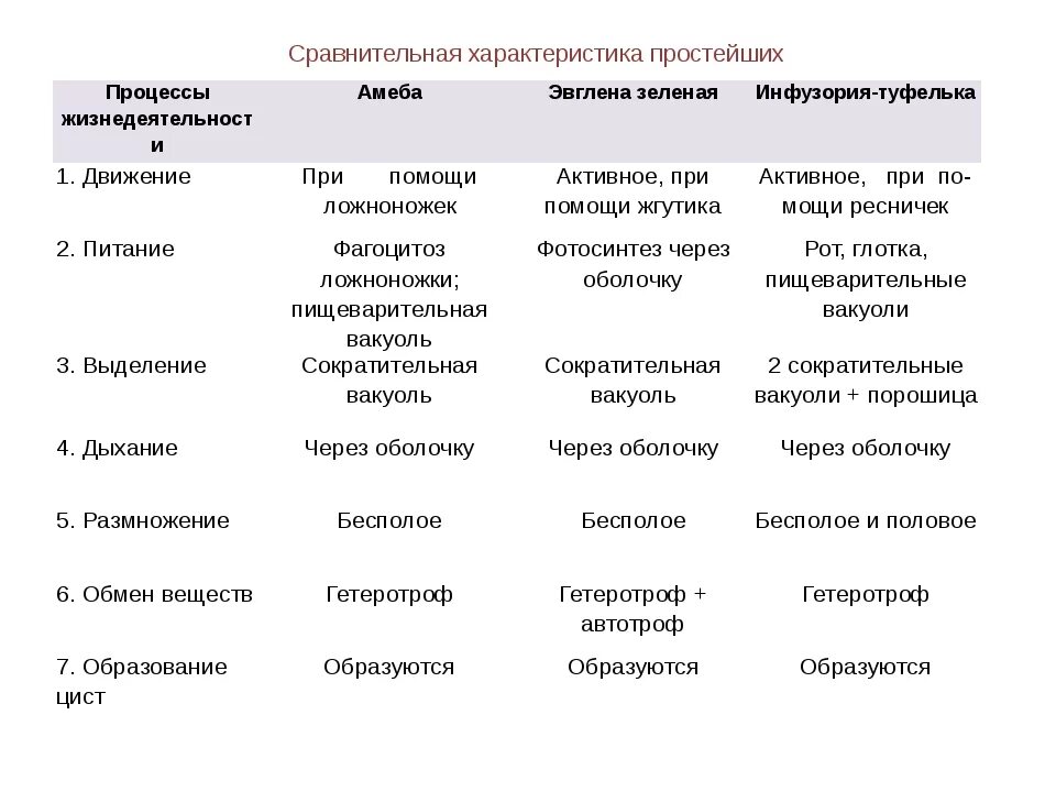 Общее количество простейших. Сравнительная характеристика простейших таблица 7 класс биология. Таблица по биологии сравнительная характеристика простейших. Сравнительная характеристика простейших таблица 7 класс. Таблица простейшие 7 класс биология.