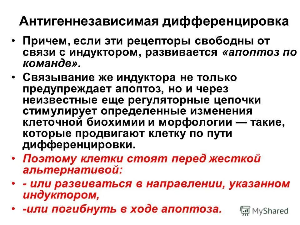 Антигеннезависимая дифференцировка. Антигеннезависимая дифференцировка