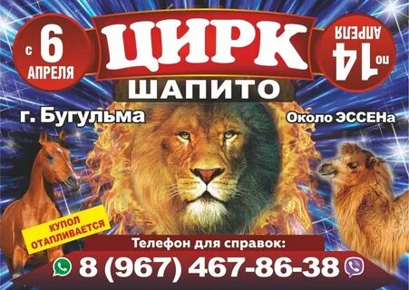 Цирк тольятти