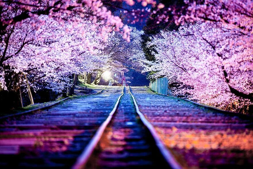 The most beautiful time