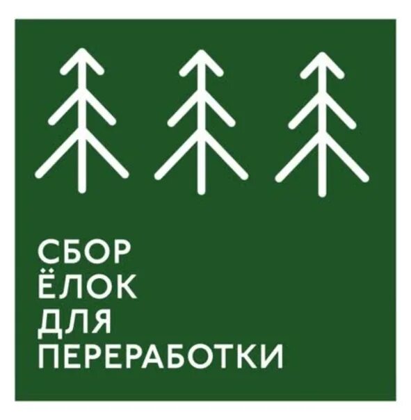 Переработка новогодних елок. Утилизация елок после нового года. Пункт утилизации елок. Утилизация новогодних елок. Акция по сбору хвойных деревьев.